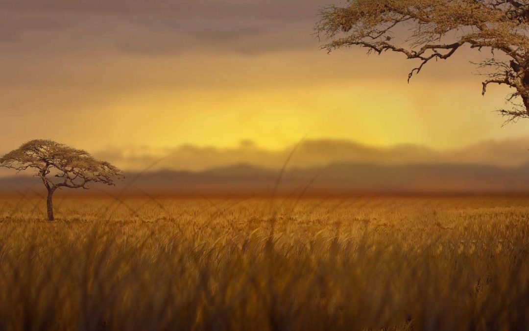 Ce site est nouveau ! Et Sam aussi !