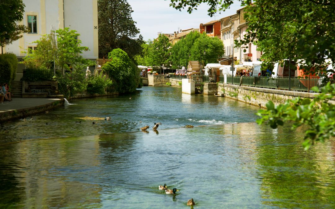 ANATIDAEPHOBIE VS L&rsquo;ISLE SUR LA SORGUE